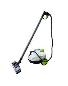 TEDURA 2-in-1 Dampfreiniger und Unkrautvernichter